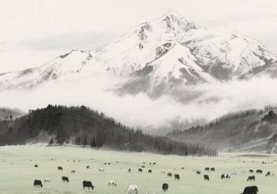 给Docker中的PHP-FPM镜像安装GD扩展